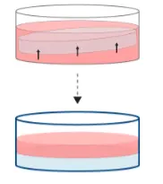 Hydrogel Floating