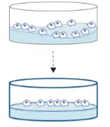 Uneven Hydrogel Surface